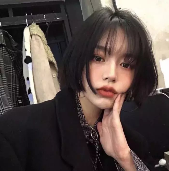 长毛象欢度圣诞